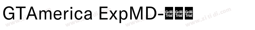 GTAmerica ExpMD字体转换